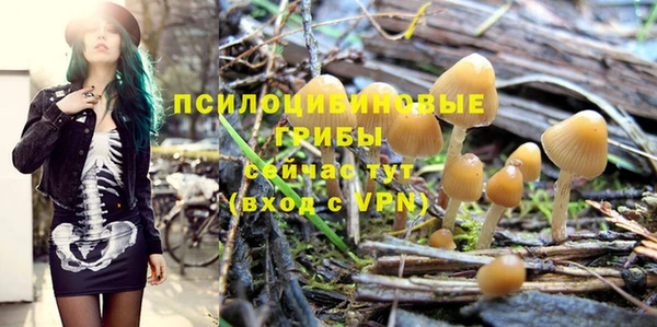 не бодяженный Алзамай