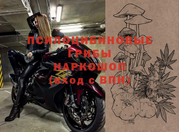 не бодяженный Алзамай