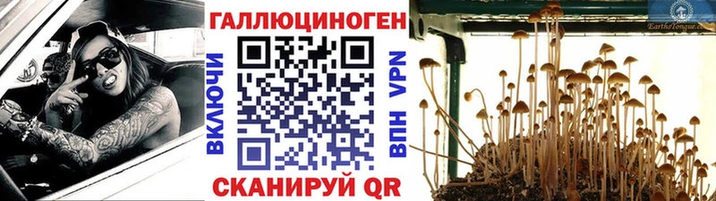 сколько стоит  блэк спрут tor  Галлюциногенные грибы мухоморы  Нерехта 